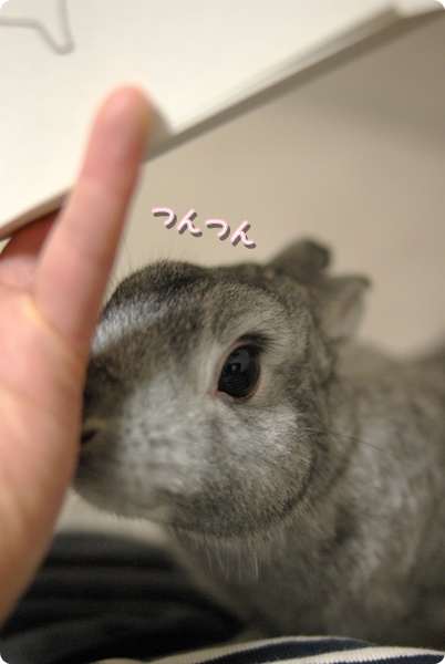 小指につん