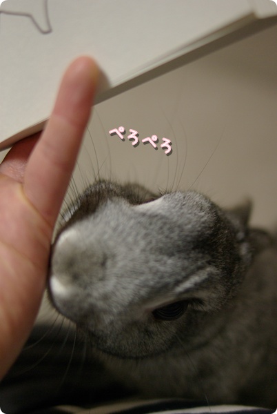 小指にぺろ