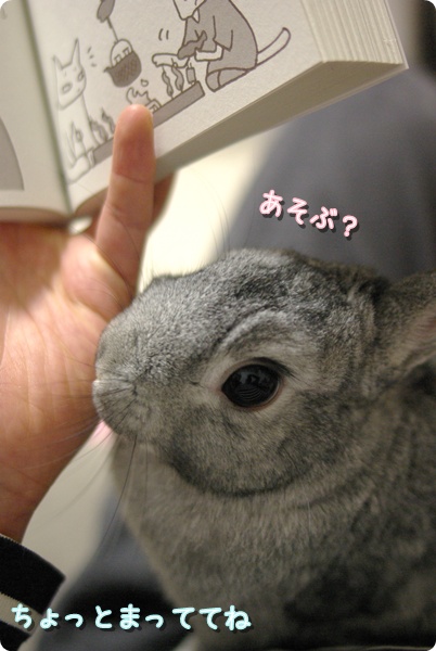 てかあそんで