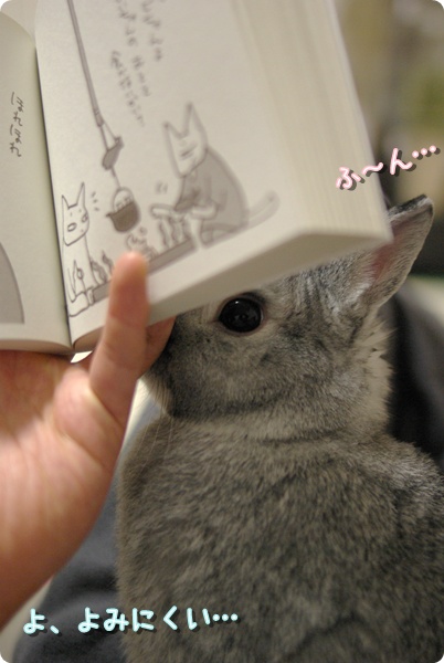 あっそ…