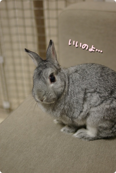 よよよ…
