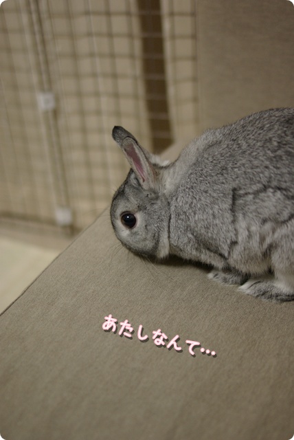 おんなはいつも…