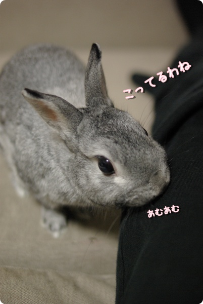 ふんふん