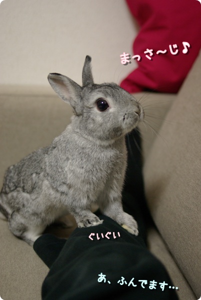 もみもみ
