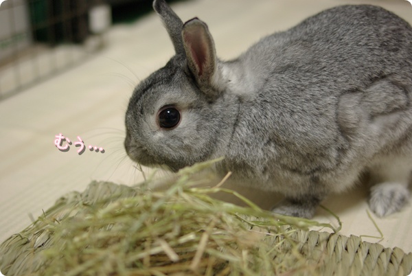 なんかヤダ