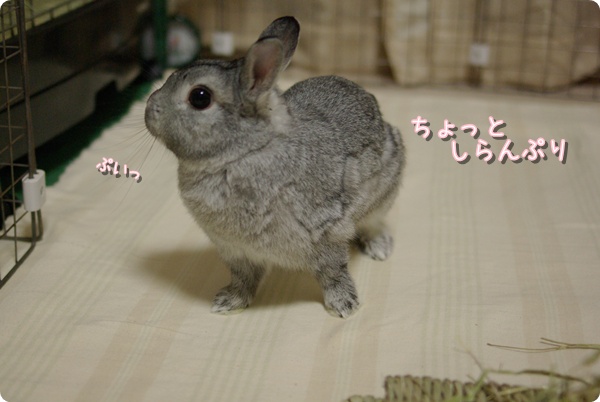 でもチラ見してる(笑)