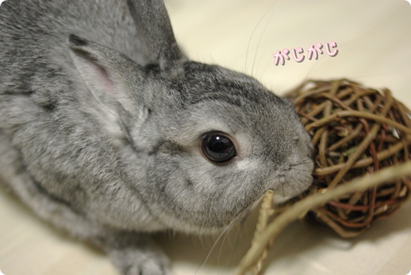 えいえい