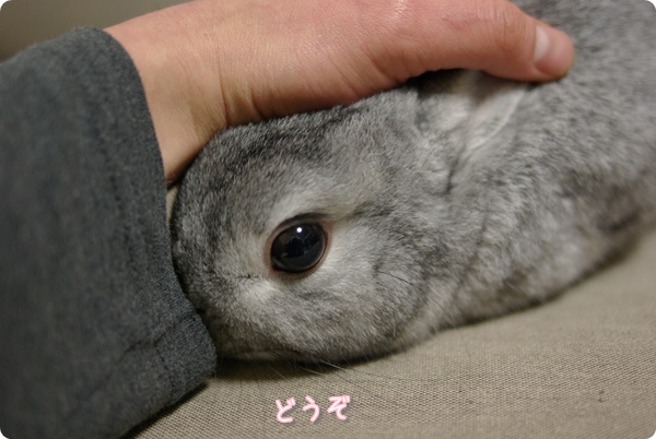 さっそく開始
