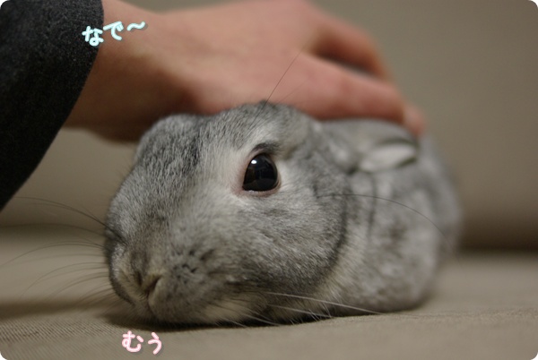 せすじをなで〜っ