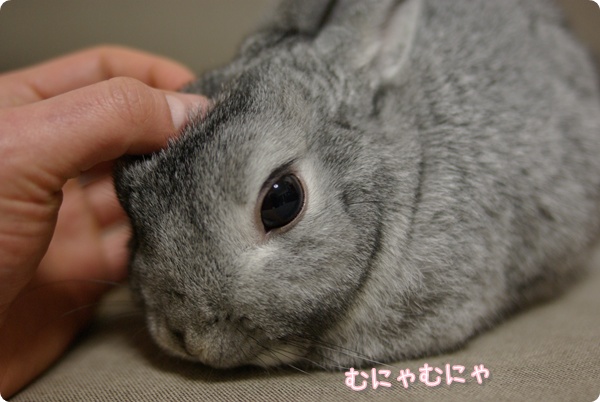 おでこがポイント