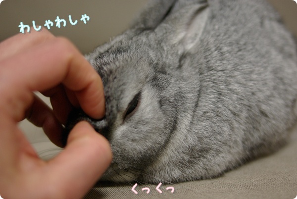 おでこを念入りに