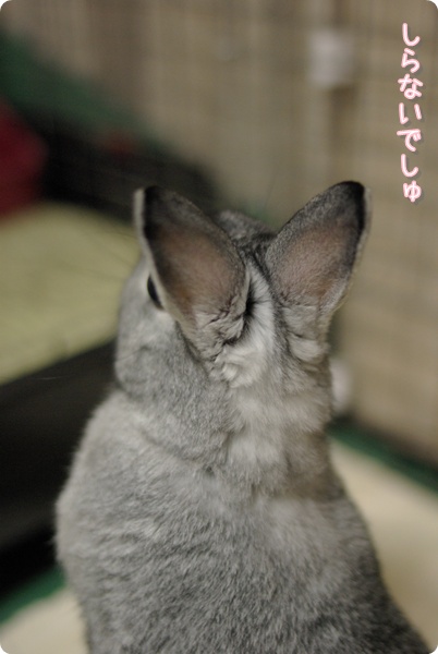 ふふ〜ん
