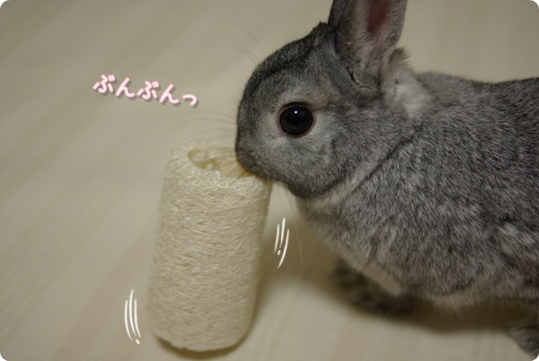 えいえいっ