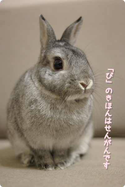 マナ先生曰く