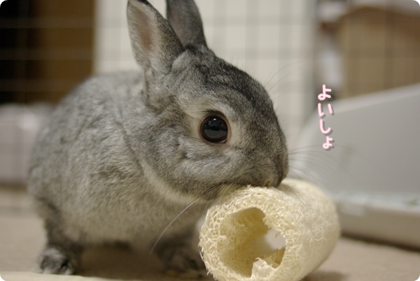 お口でつかんで