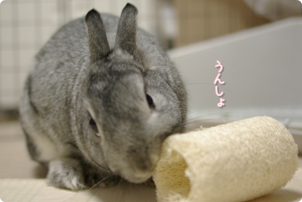 がんばっております
