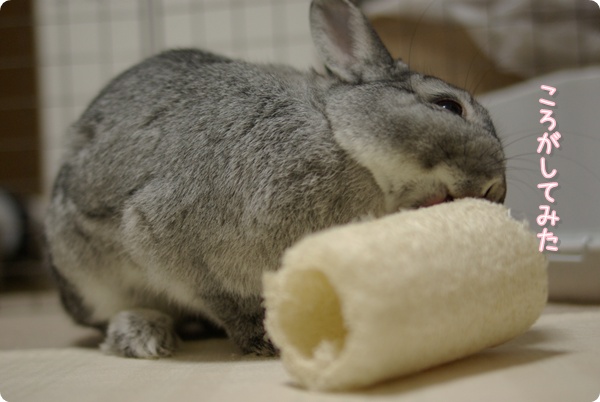 転がしちゃうんだね