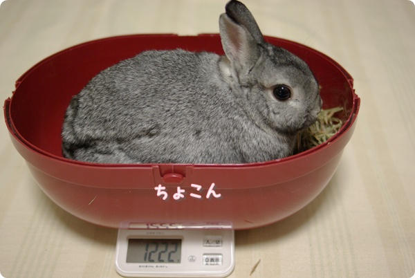 1222グラム