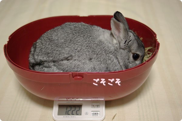 さらに食べてます