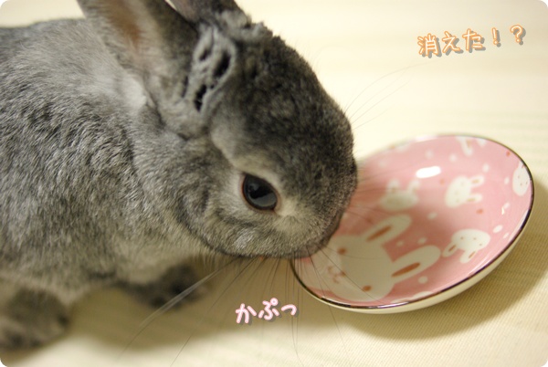 はむうっ!
