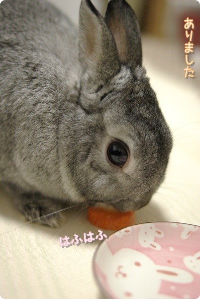 お皿の上で食べればいいのに…