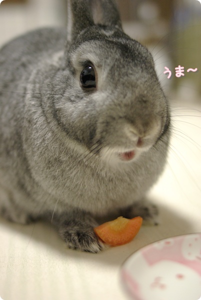 にんじん立ってます