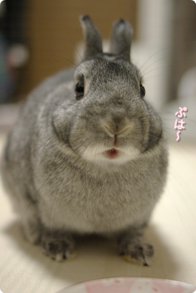 あ、もうない