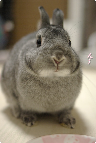 ふくらんでる?