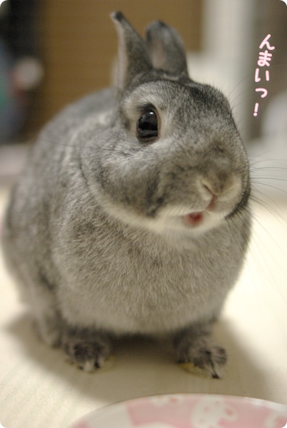 笑顔♪