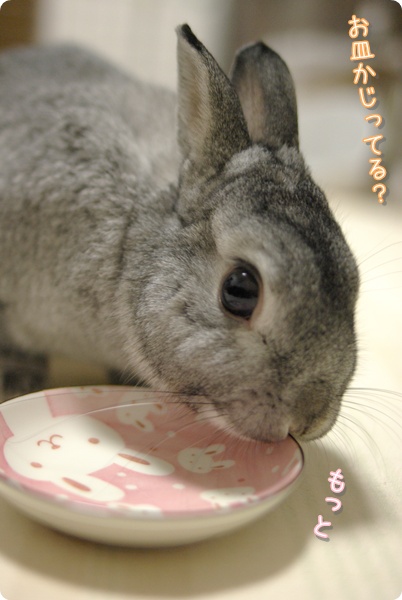 匂いがする?