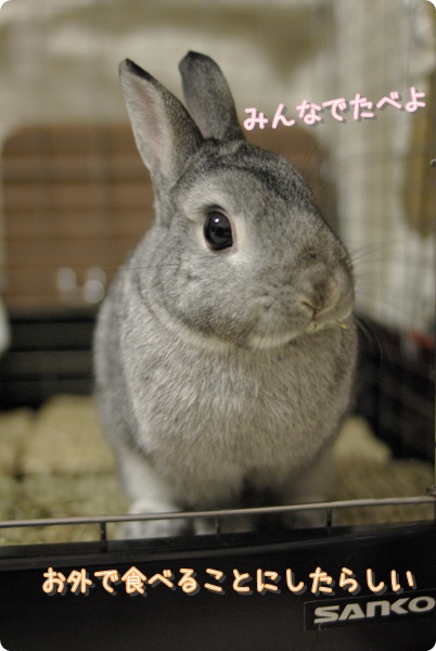女将と番頭は食べないよ…