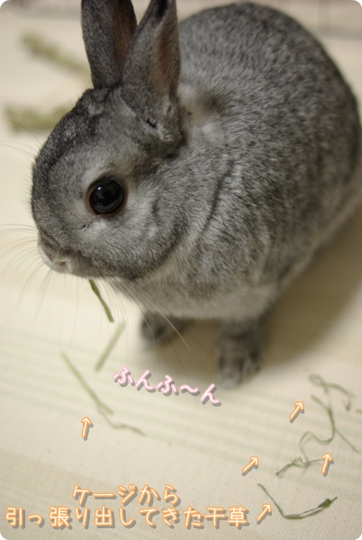ちらかすのは楽しいね…