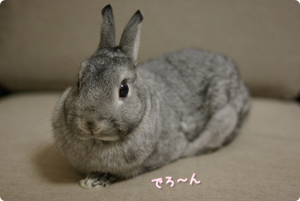 むうむう