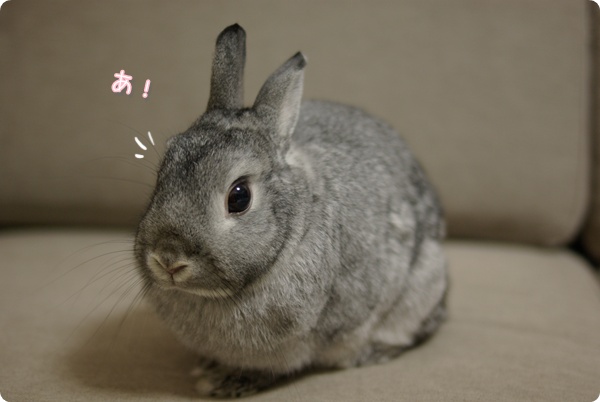 どき〜ん