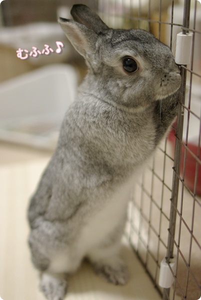 にや〜り