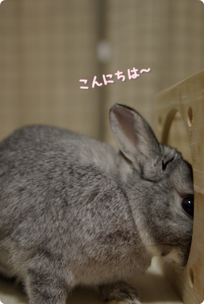 090124mana7.jpg
