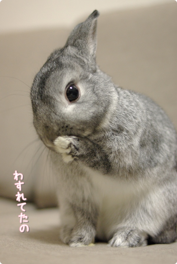 うぷぷ♪