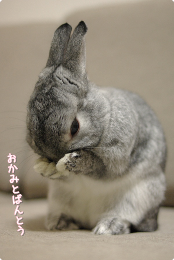 ごしごし