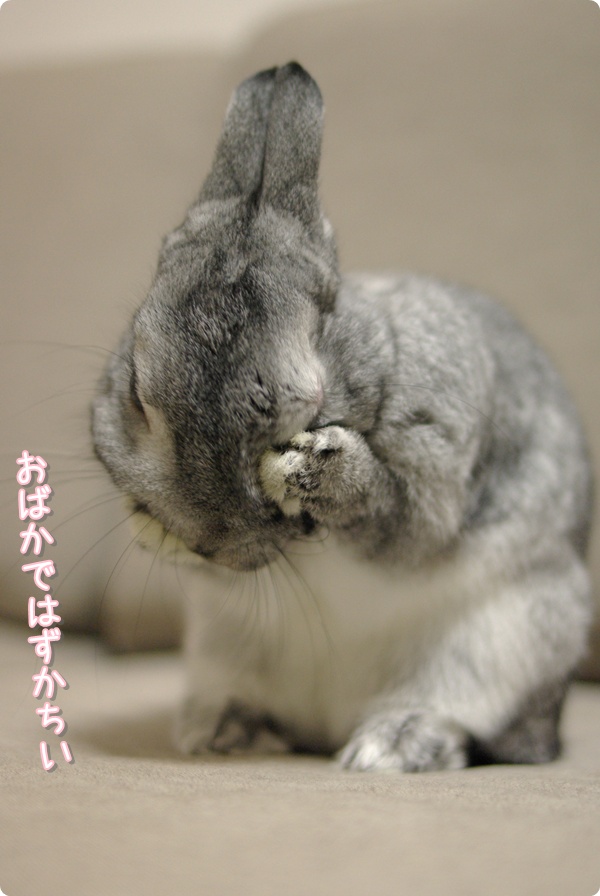 いつものことだけど…