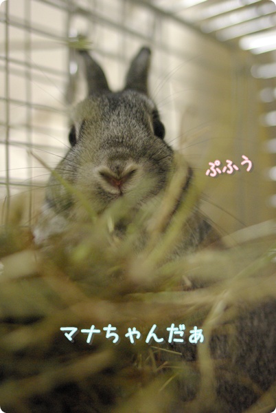 お鼻ふんふんっ