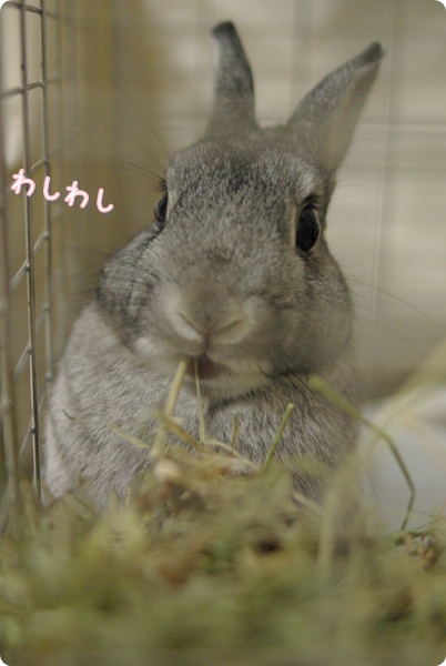 黙々と…