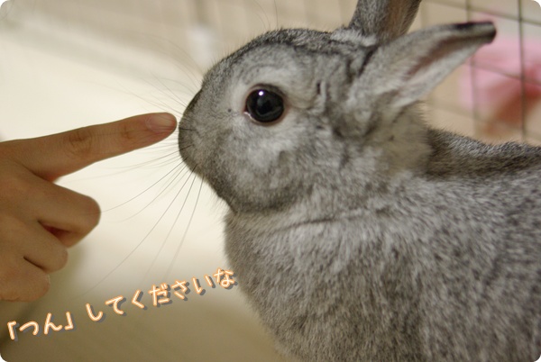 ぬんっ by伊東四朗