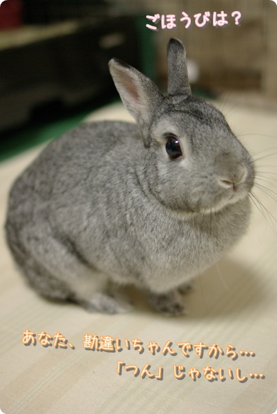 おねだりっ