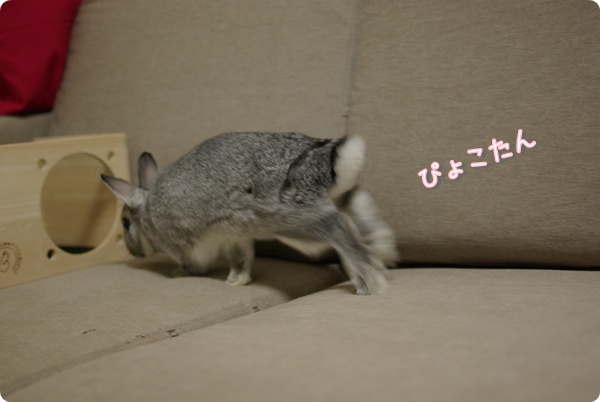てってけて〜