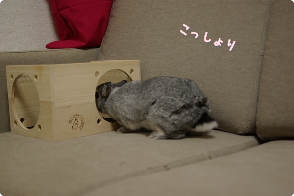 くびにょき〜ん