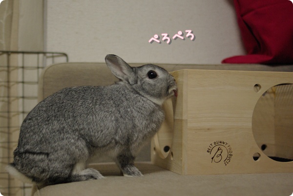 しんけんです