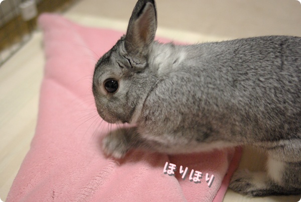 うりうり〜