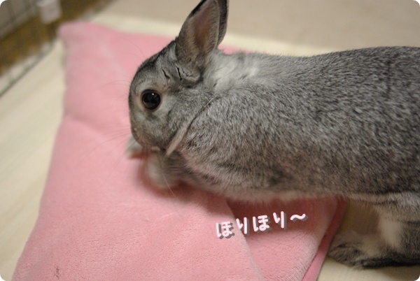 やあやあ