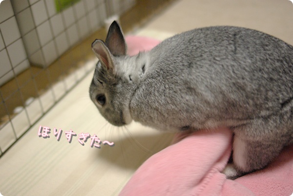 あら?