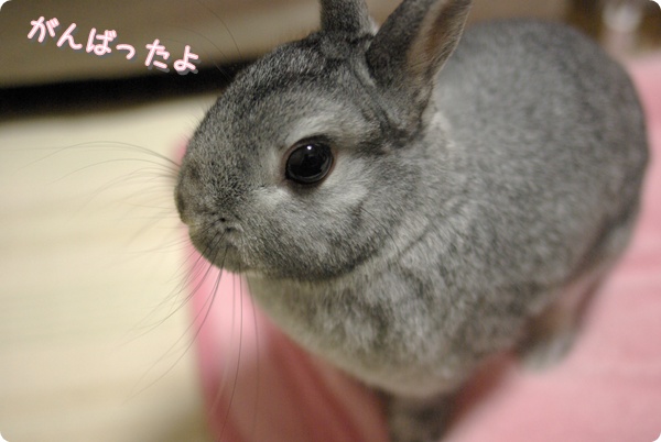 きら〜ん♪
